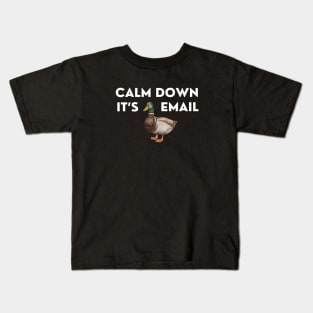 CALM DOWN, IT'S DUCKING EMAIL Kids T-Shirt